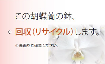 回収タグイメージ（表）